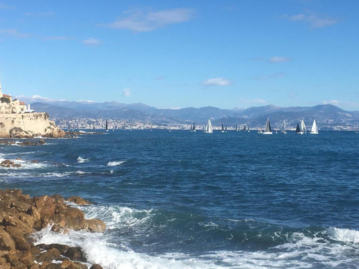 Tortue De Mer Αντίμπ Εξωτερικό φωτογραφία